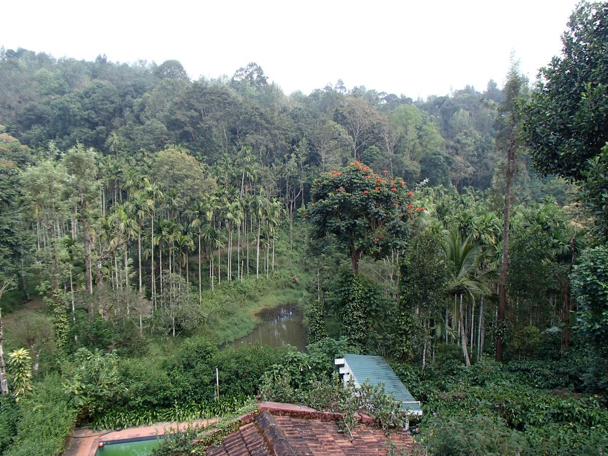 Coorg 4 C'S Little Paradise Lägenhet Madikeri Exteriör bild