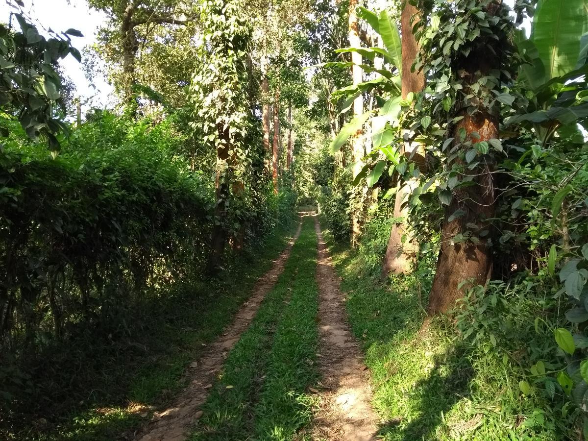 Coorg 4 C'S Little Paradise Lägenhet Madikeri Exteriör bild